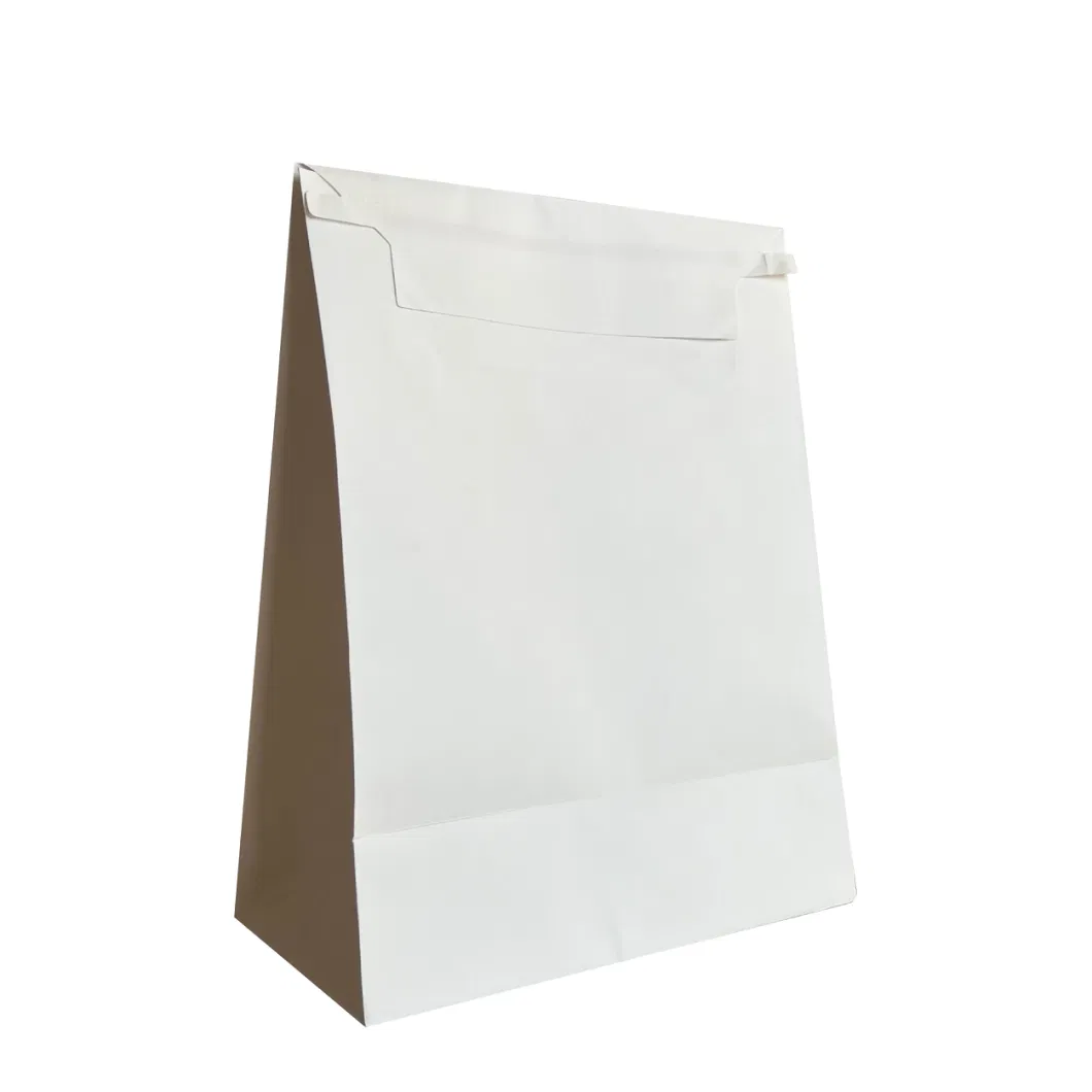 Wholesale Kraft Paper Envelope Bag Shopping Gift Mailing Bags Clothing Shoes Posted Paper Carry Bag